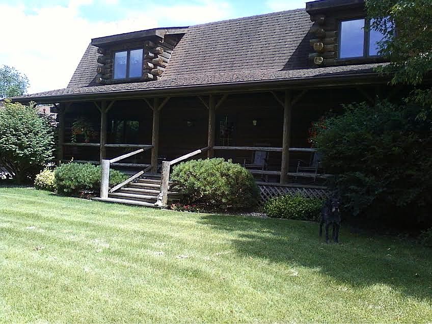 21 year old log home
