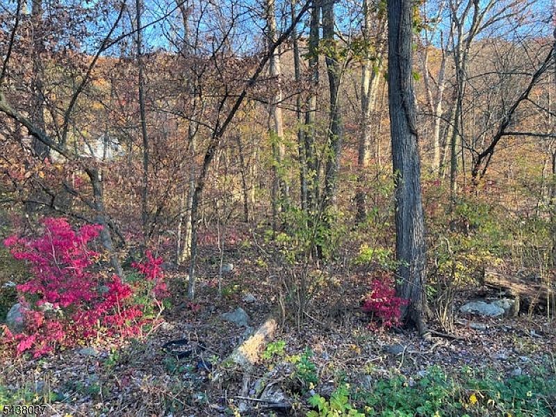 1st image of 9 Old Woodland Trl