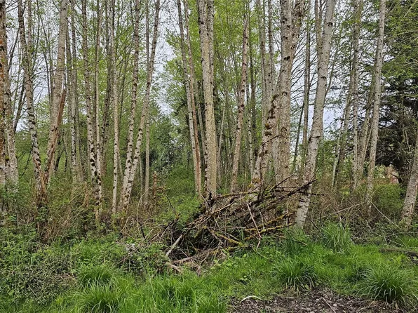 18721 Pioneer Way, Orting, WA 98360