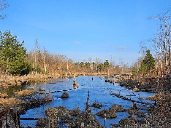 5th image of W Miller Rd