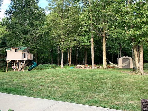 Large backyard w/ tree house