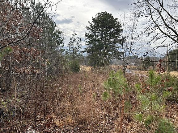 4th image of 286 County Road 285