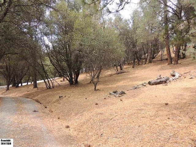 20520 Ferretti Rd photo 1