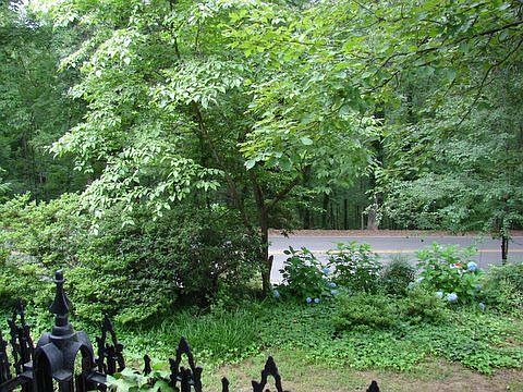 View from front door (Alsopp Park)