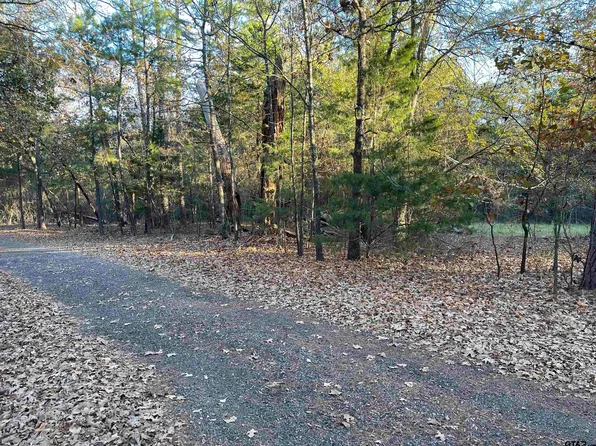 3 County Road 2450, Leesburg, TX 75451