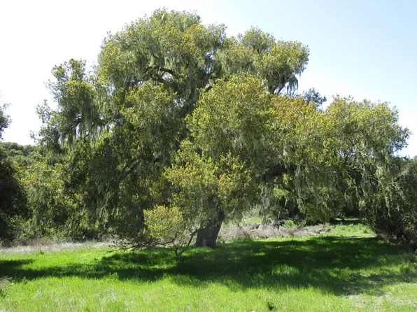 0 Monterra Rd, Monterey, CA 93940