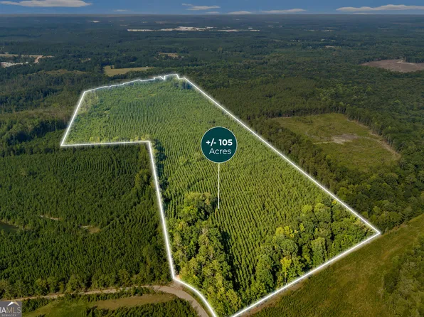 Mercer Tract, Jeffersonville, GA 31044