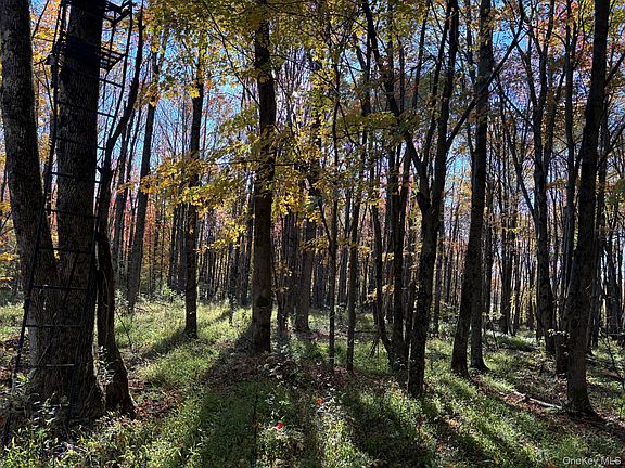 2nd image of ROW off Chaffee Road