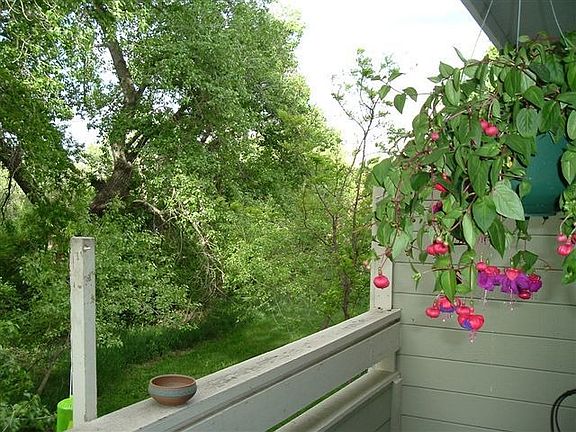 Back deck to Bear Creek Trail