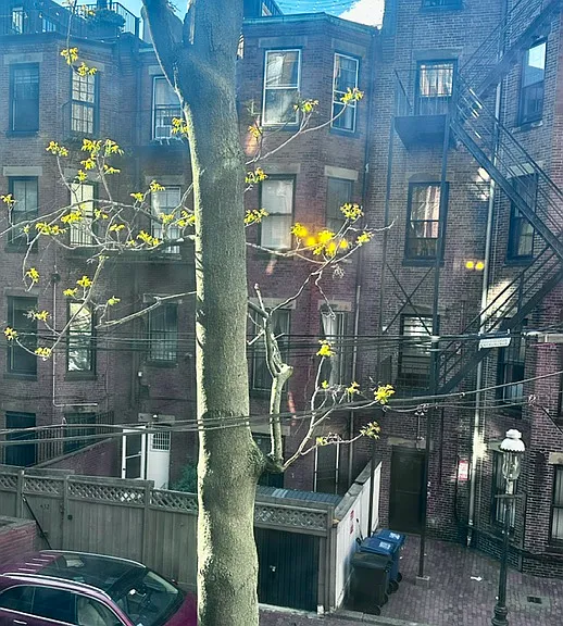 375 Commonwealth Ave #3 — Photo 11