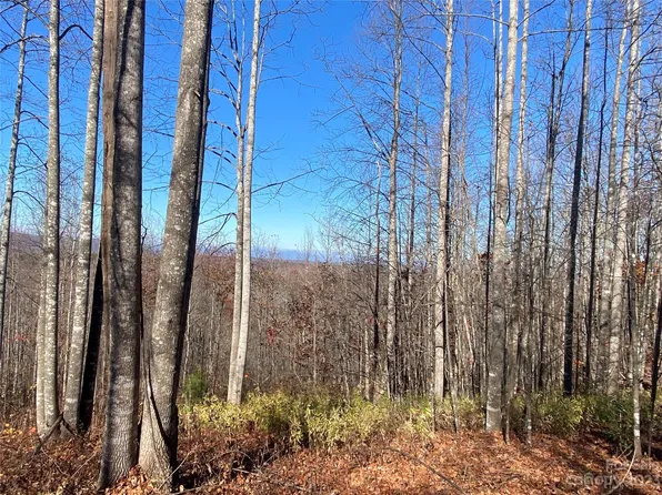 Meditation Ridge Dr #43, Nebo, NC 28761