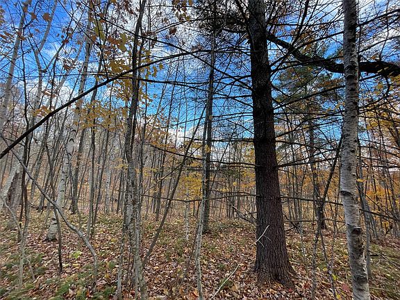 5th image of 8 W Tanager Trail