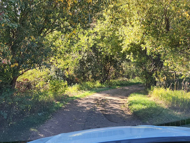 Driveway to main cabin