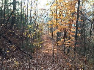 Douglas Mountain Trail, ellijay, GA 30540