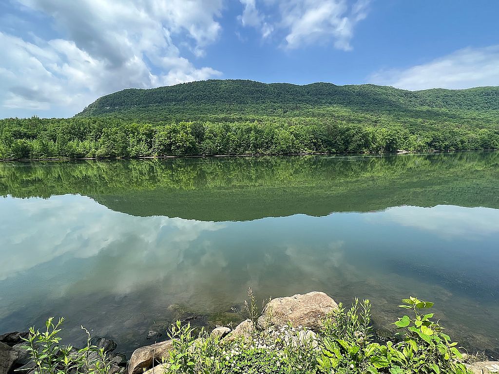 Mullins Cove Rd, Whitwell, TN 37397 Zillow