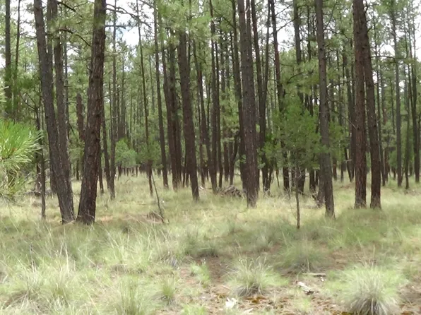 0 Bahamas Dr, Timberon, NM 88350