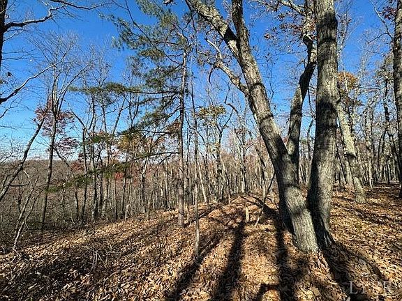 4th image of 0 Kingswood Ln Lot 1