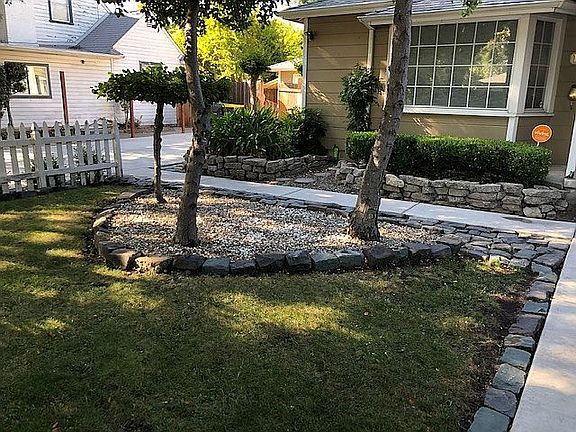 Beautiful Trees