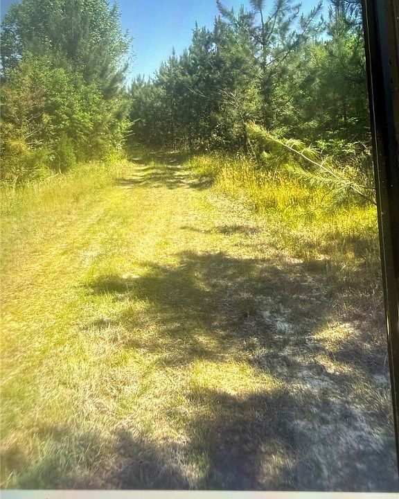 2nd image of 0 Millers Landing Rd