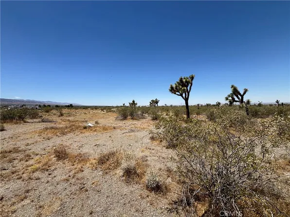 0 Danbury Rd, Pinon Hills, CA 92372