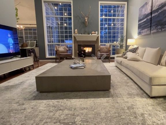 Picture of the living room furnished (for reference only).