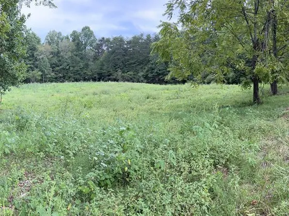 4 Lewis Wilson Rd, Spencer, TN 38585