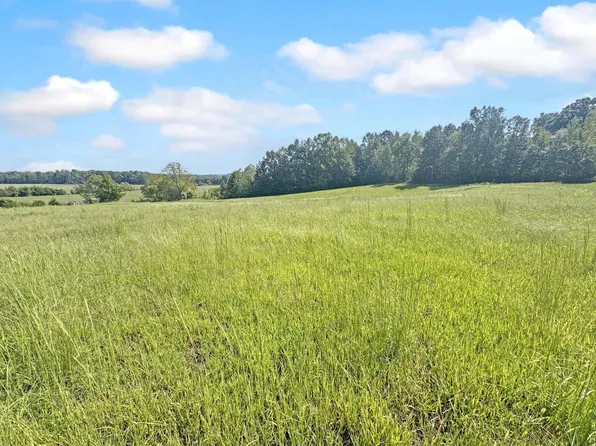 0 Boitnott Ford Rd, Princeton, KY 42445