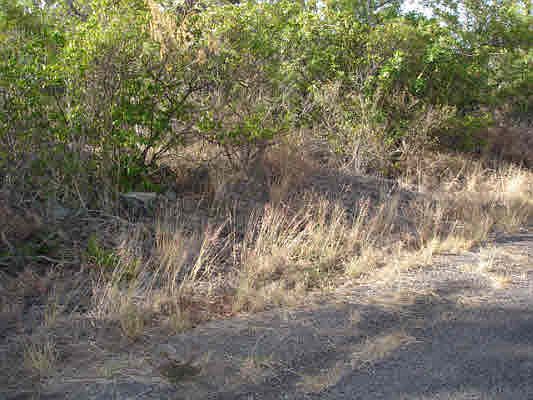 3rd image of Keaka Pkwy Lot 6