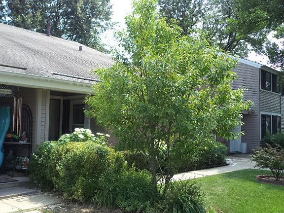 3rd image of 1617 E Vermillion Ln