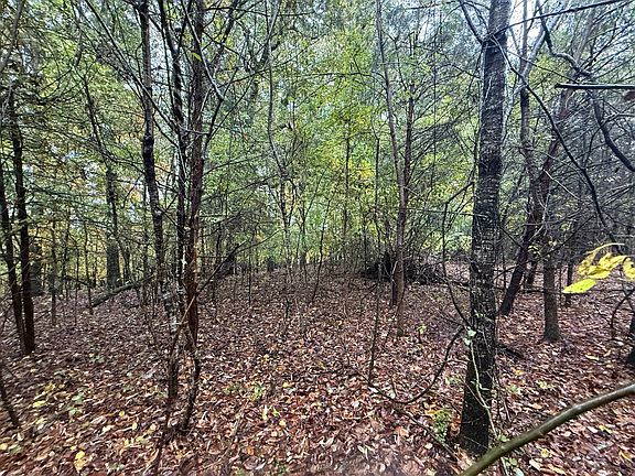 5th image of 35 Poplar Ave Lot 35