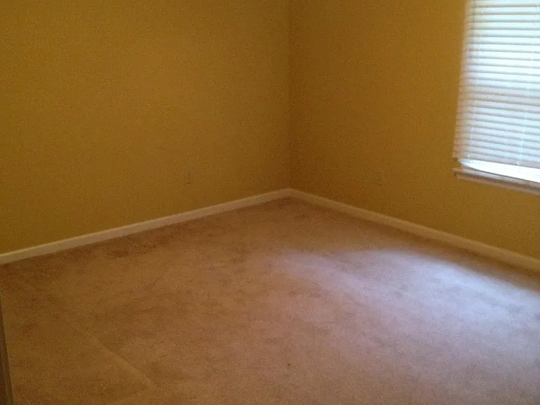 341 Plum Hollow Blvd — Photo 15