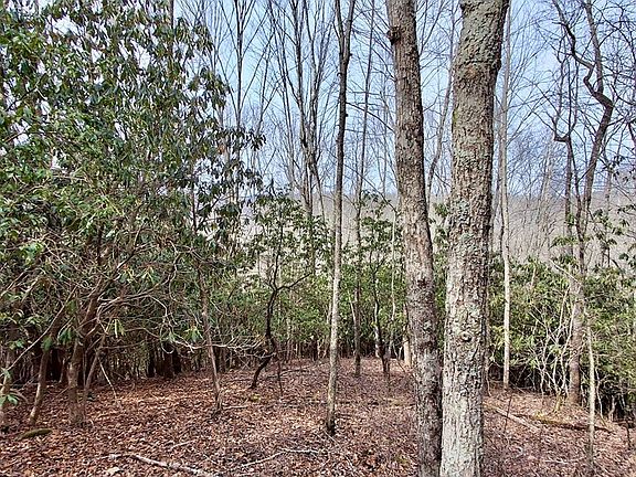 3rd image of 0 Lake Ridge Ln