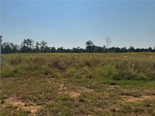 16 Long Leaf Ln, Opelika, AL 36804