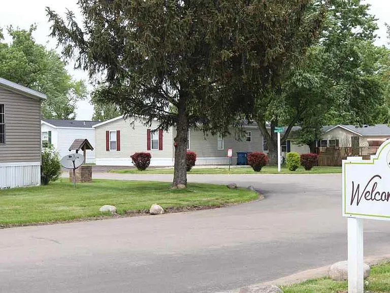 Mariwood — Photo 3