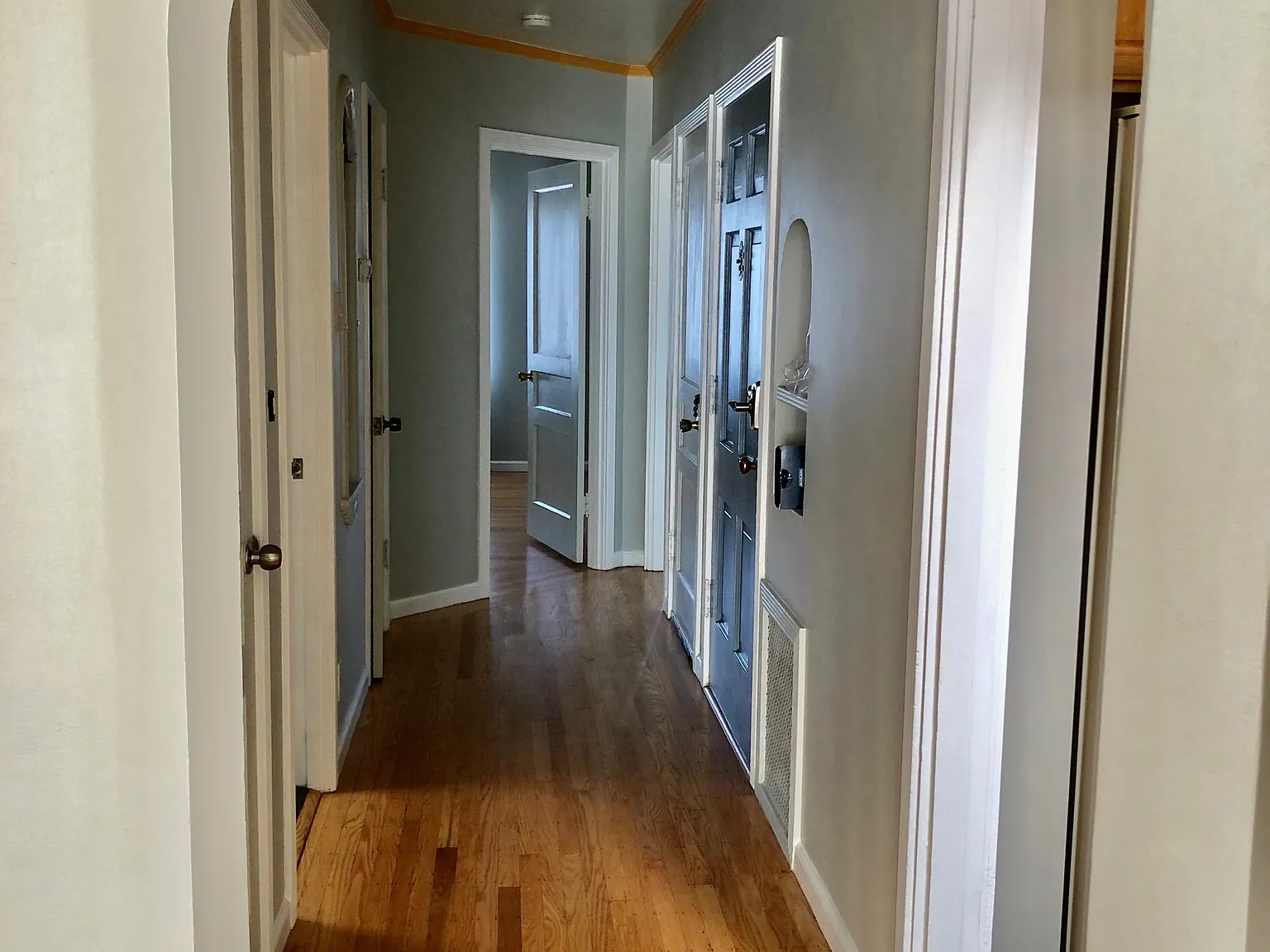 3 bed, 1.5 bath, 1250 sqft, $3,600 — Photo 3