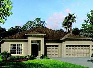 12785 Moorish Pl, Spring Hill, FL 34610