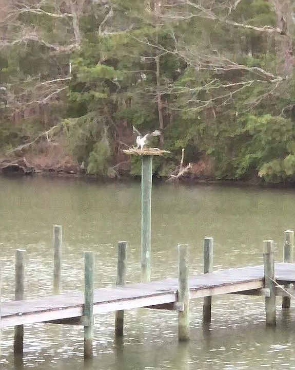 1st image of 140 Seagull Ct