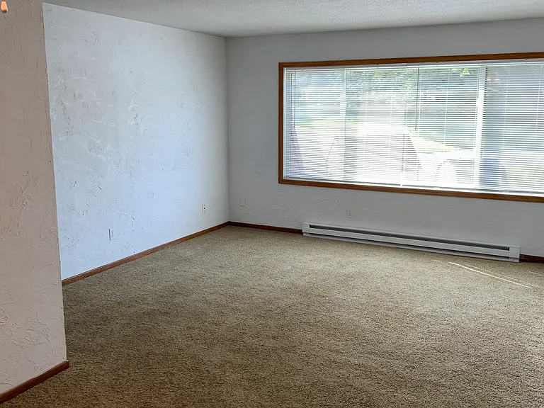 213 Newton Ave NE #308 — Photo 7