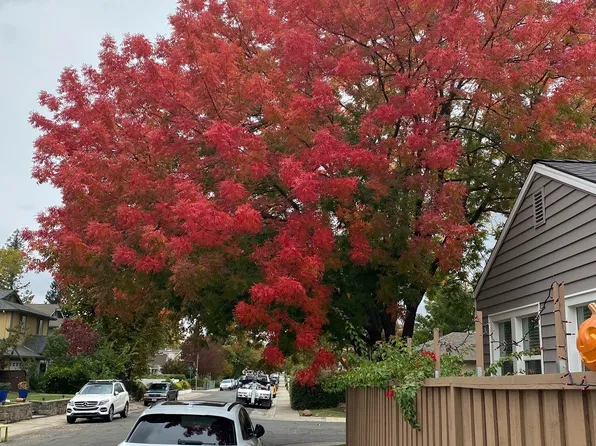 4451 F St, Sacramento, CA 95819