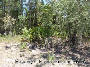 2nd image of 12486 Jaybird Rd