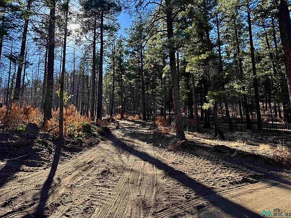 3rd image of 4 W Canyon Loop
