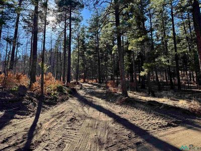 4 W Canyon Loop, Mora, NM, 87732