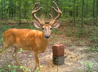 0 Buchanan Rd S, Mc Ewen, TN 37101