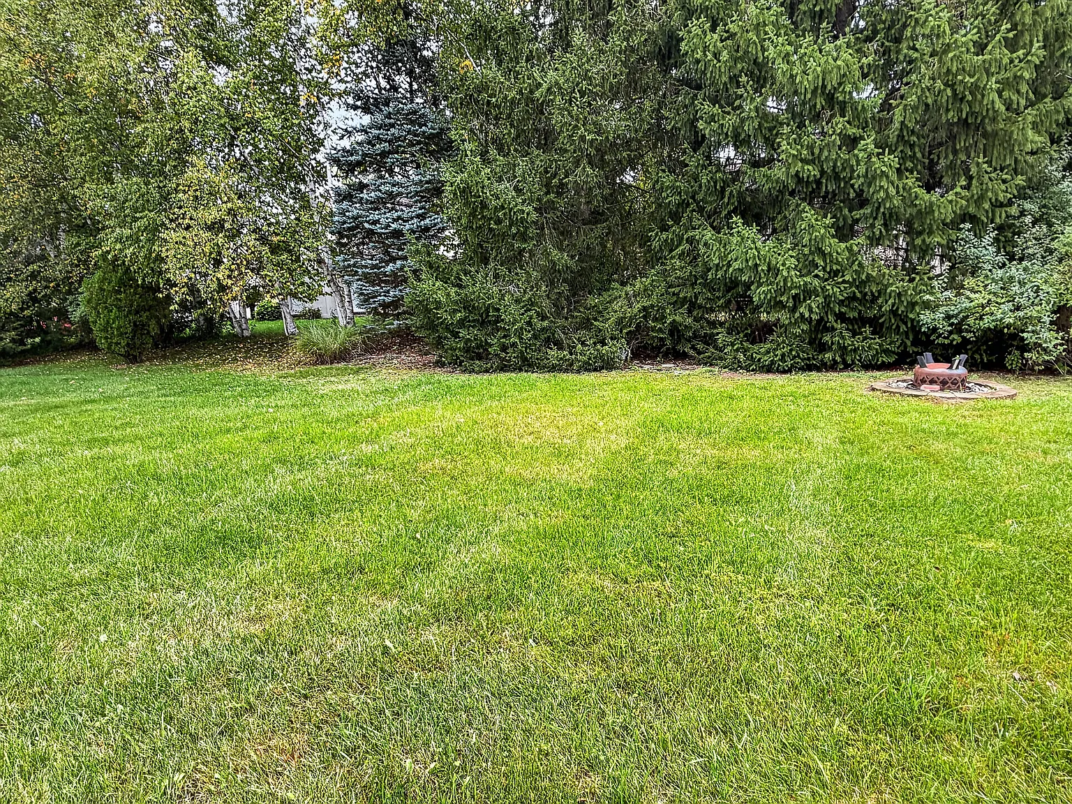 4 bed, 2226 sqft, $2,995 — Photo 3