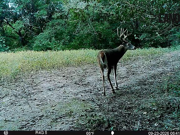 3rd image of 0 W Knox Rd