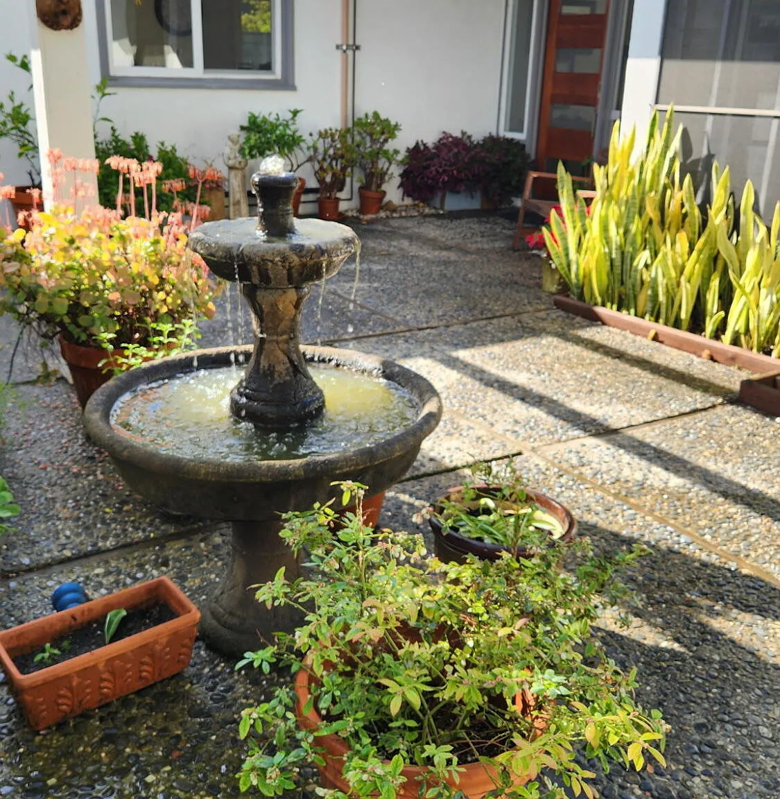 4 bed, 2.5 bath, 1768 sqft, $7,000 — Photo 2