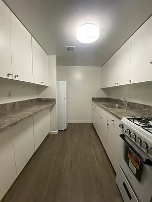 Rented by Voro NYC | media 11