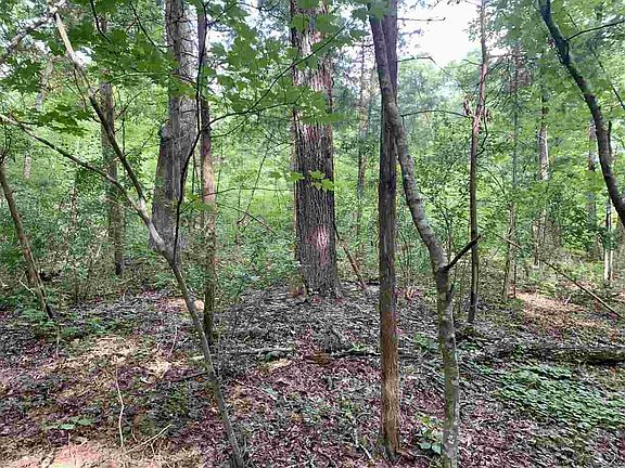 5th image of 63 Fox Trail Ct #829