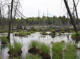 Tbd Skyline Gimlet Crk N, Newberry, MI 49868
