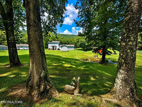 4th image of 2042 Dutch Valley Rd